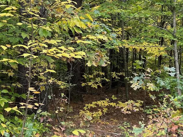 Warner, NH 03278,Annis LOOP