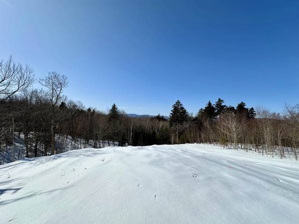 Lot 49 Andover Ridge RD #49, Andover, VT 05143