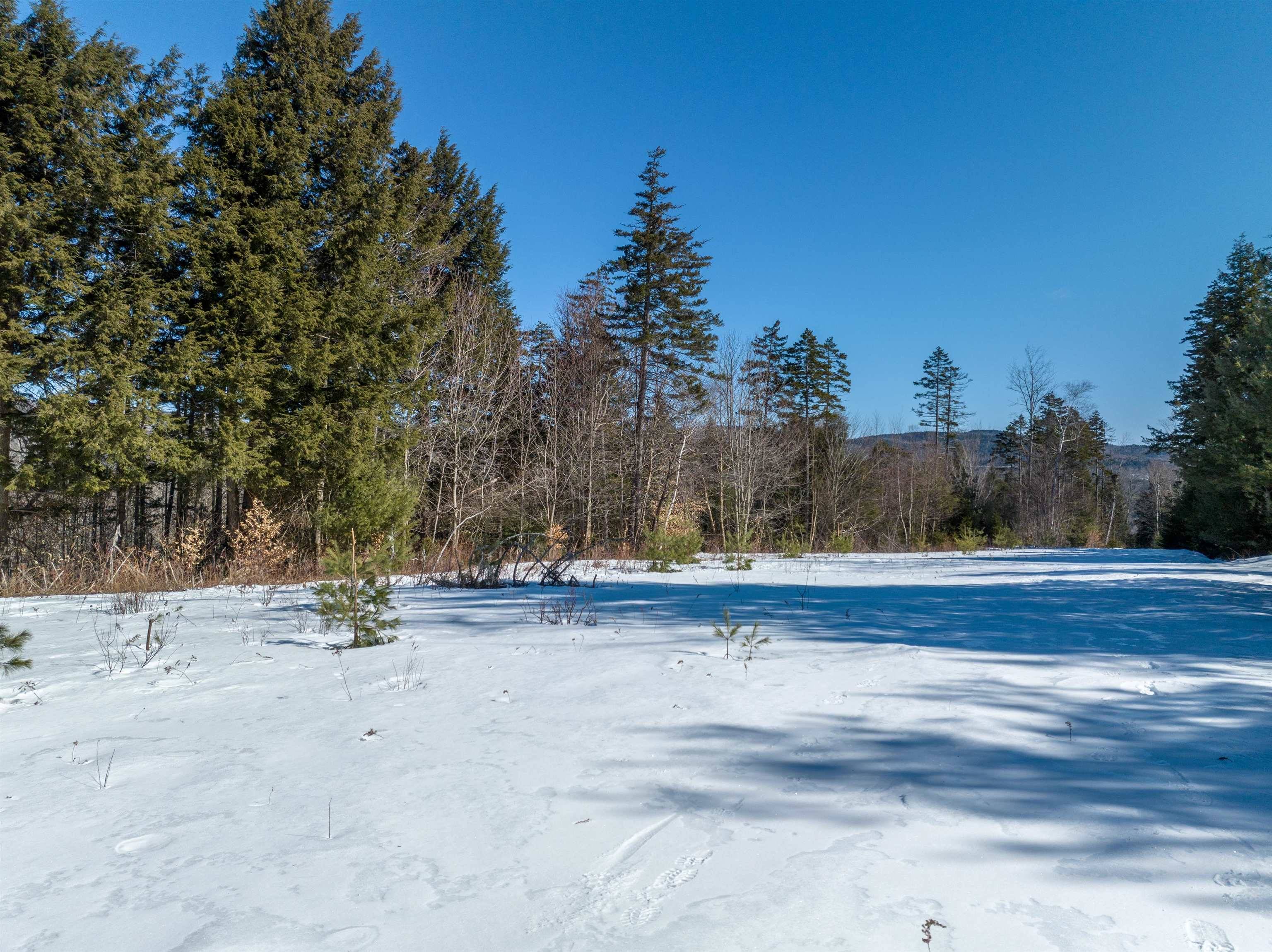 Alexandria, NH 03222,0 Welton Falls RD