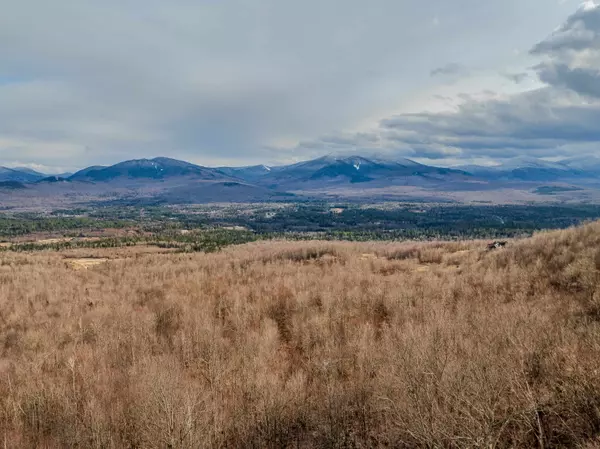 Carroll, NH 03595,C12 Beechwood DR #C12