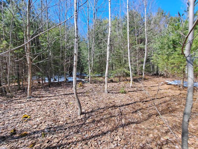 Cuttyhunk RD #Lot 13, Thornton, NH 03285