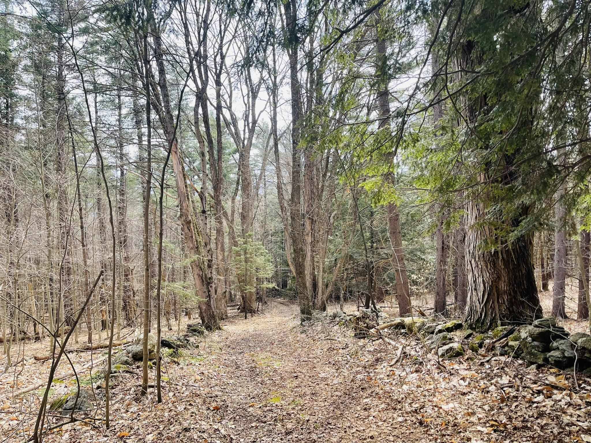 0 Lackey Hill RD, Wardsboro, VT 05355