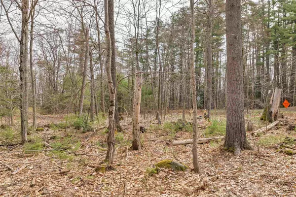 Center Harbor, NH 03226,00 Dane RD