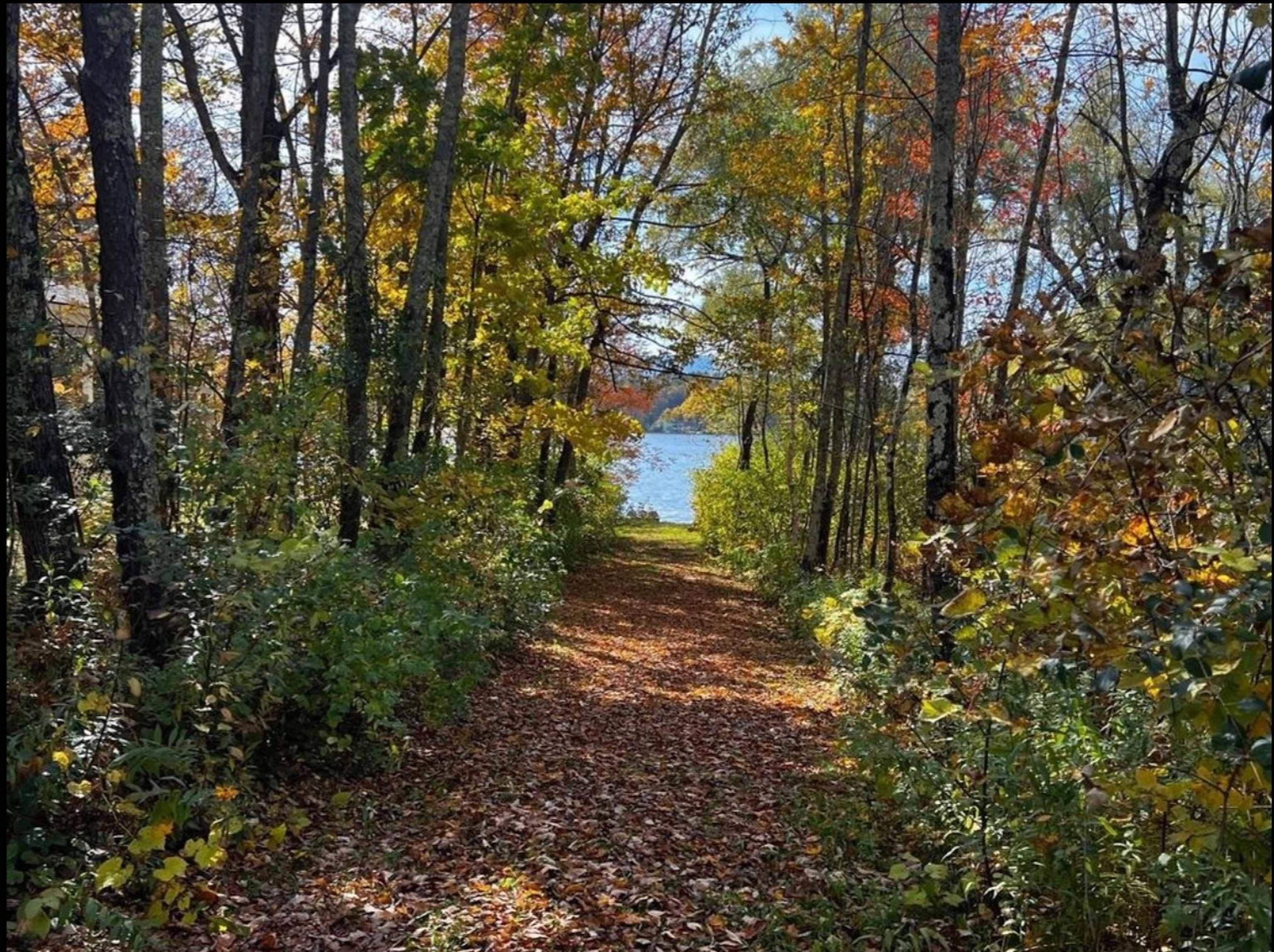 Tinmouth, VT 05773,91 White Birch DR
