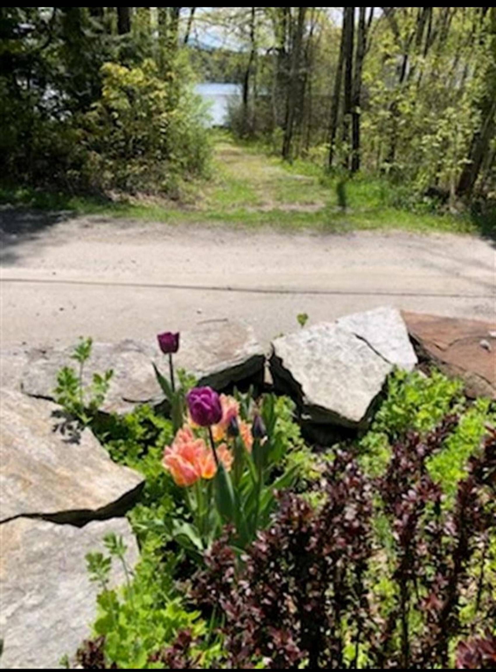 Tinmouth, VT 05773,91 White Birch DR