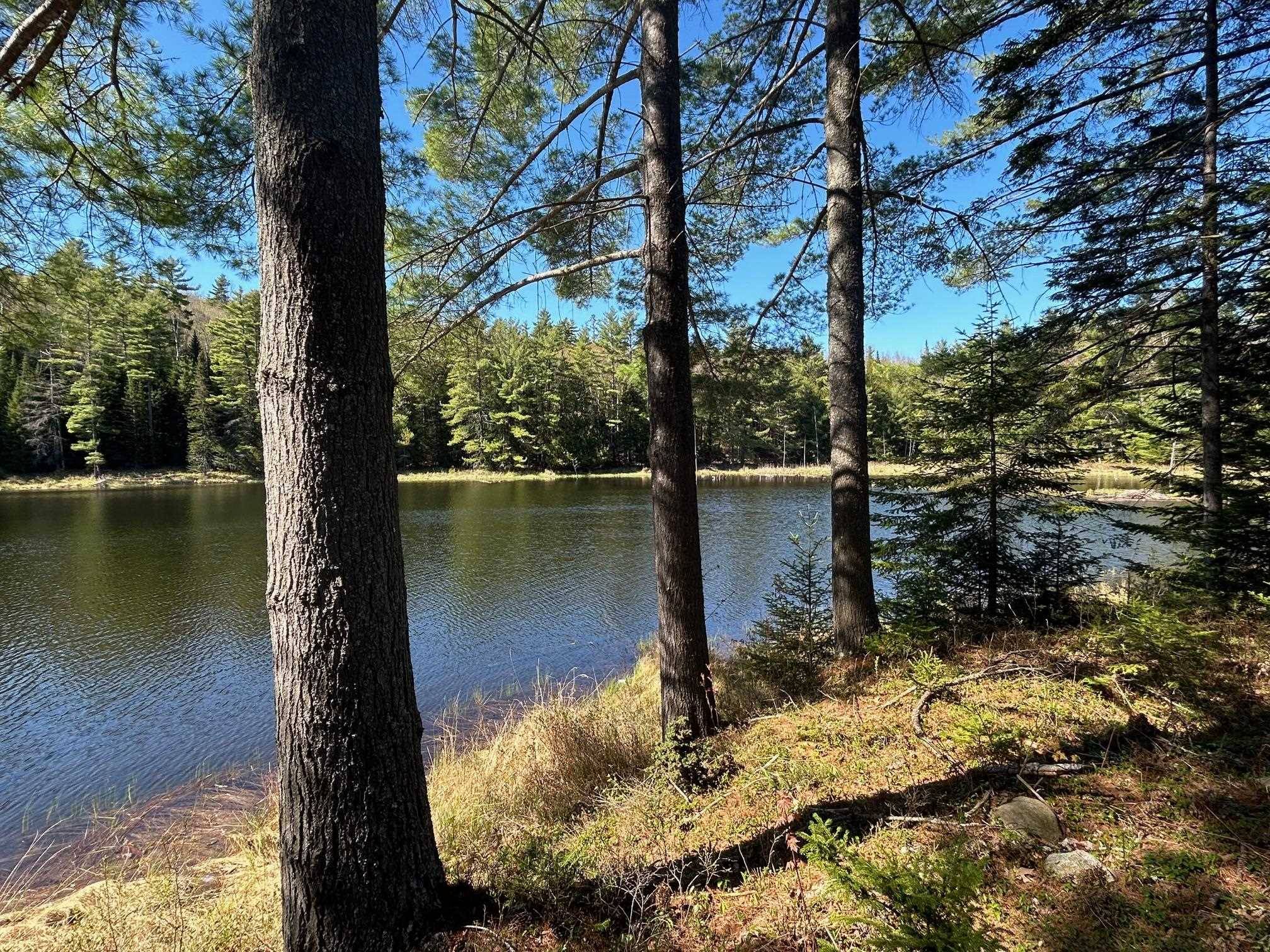 Newbury, VT 05081,1624 Tenney Pond RD