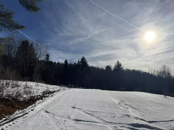 0 Hillside DR #Lot 46, Wilmington, VT 05363