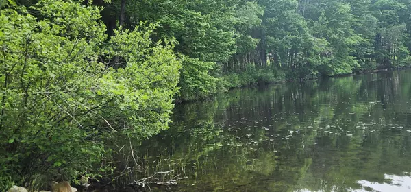 Acton, ME 04001,133-40 Youngs Ridge RD