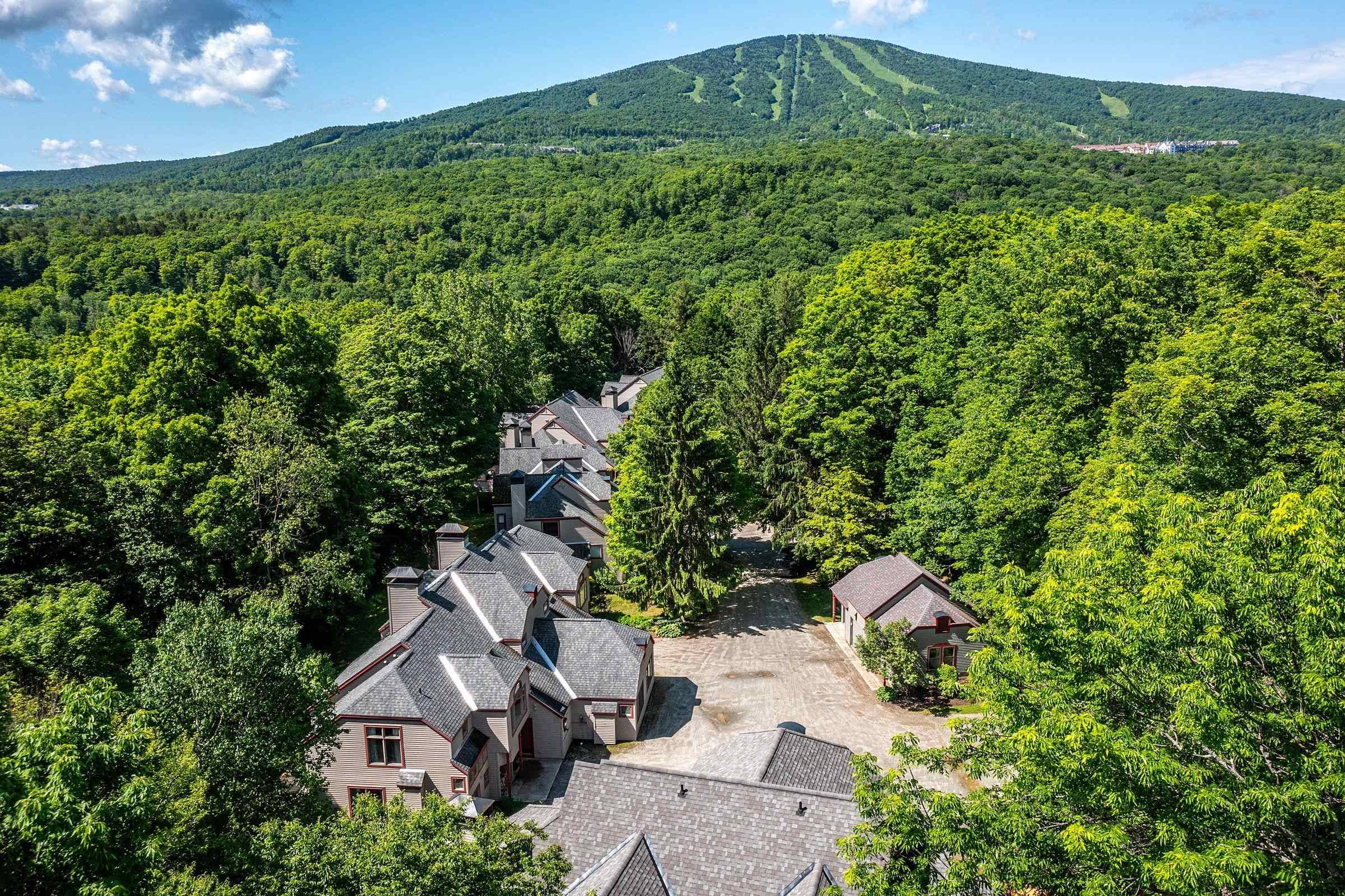 D3 Cobble Ridge RD,  Winhall,  VT 05340