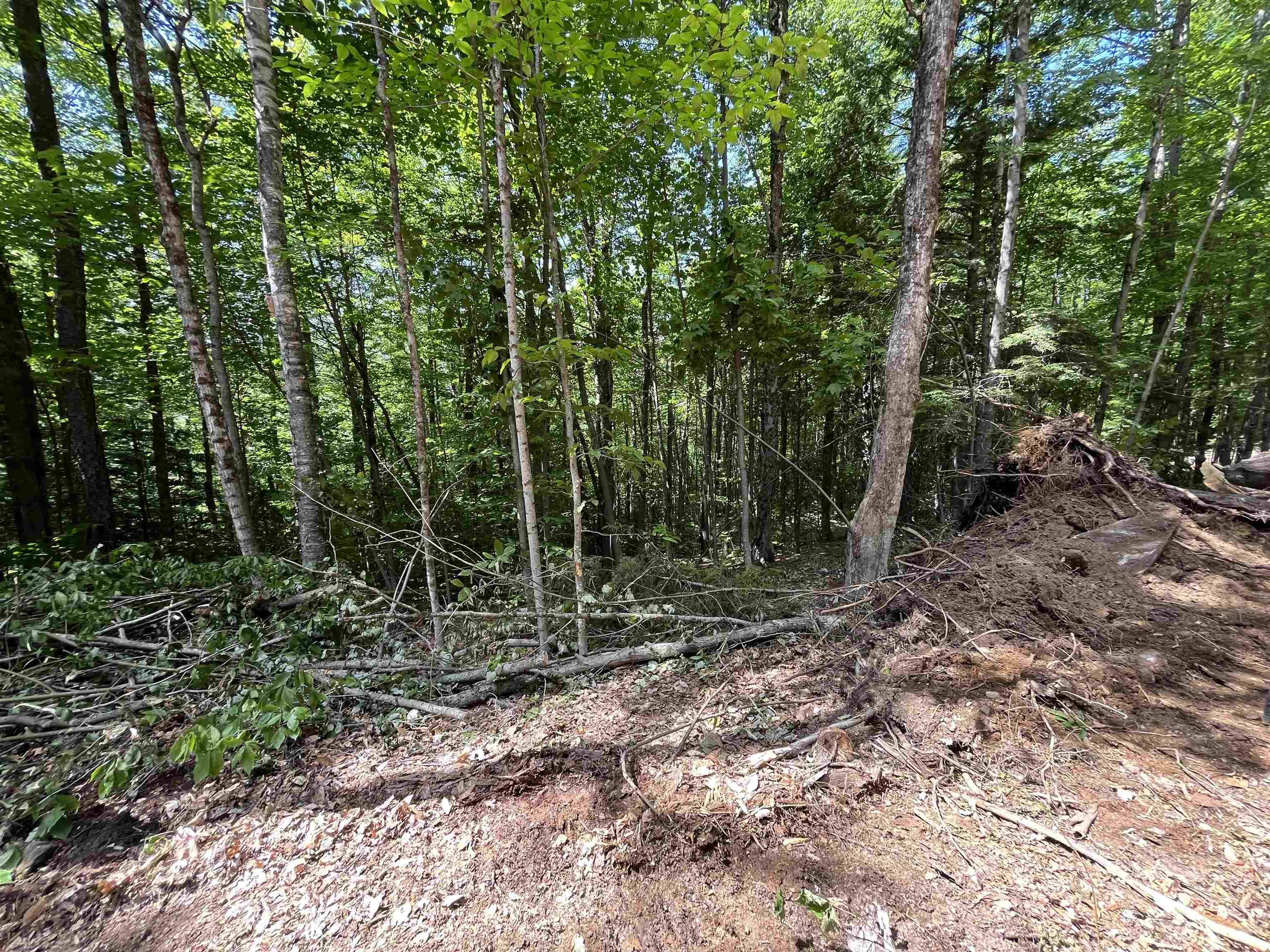 Plymouth, VT 05056,000 Echo View DR #8
