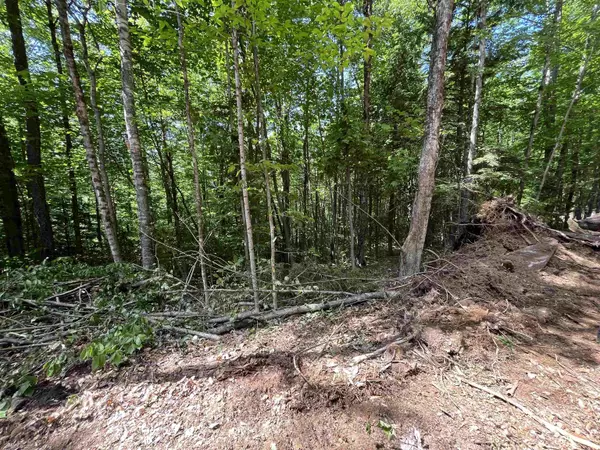 Plymouth, VT 05056,000 Echo View DR #8