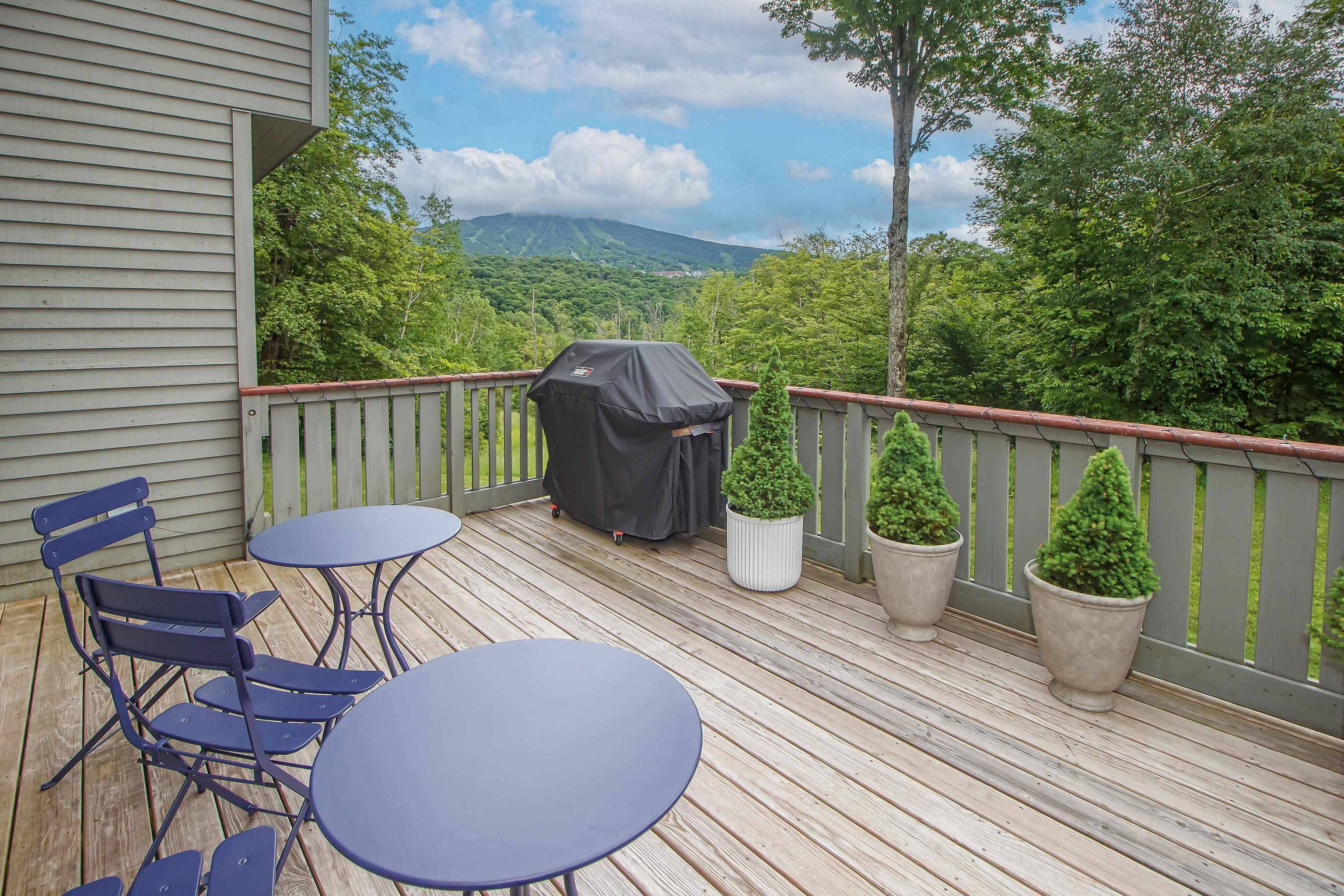 Winhall, VT 05340,F2 Cobble Ridge RD #F2