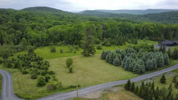 Williamstown, VT 05679,0 Lot 1 Emzaga DR