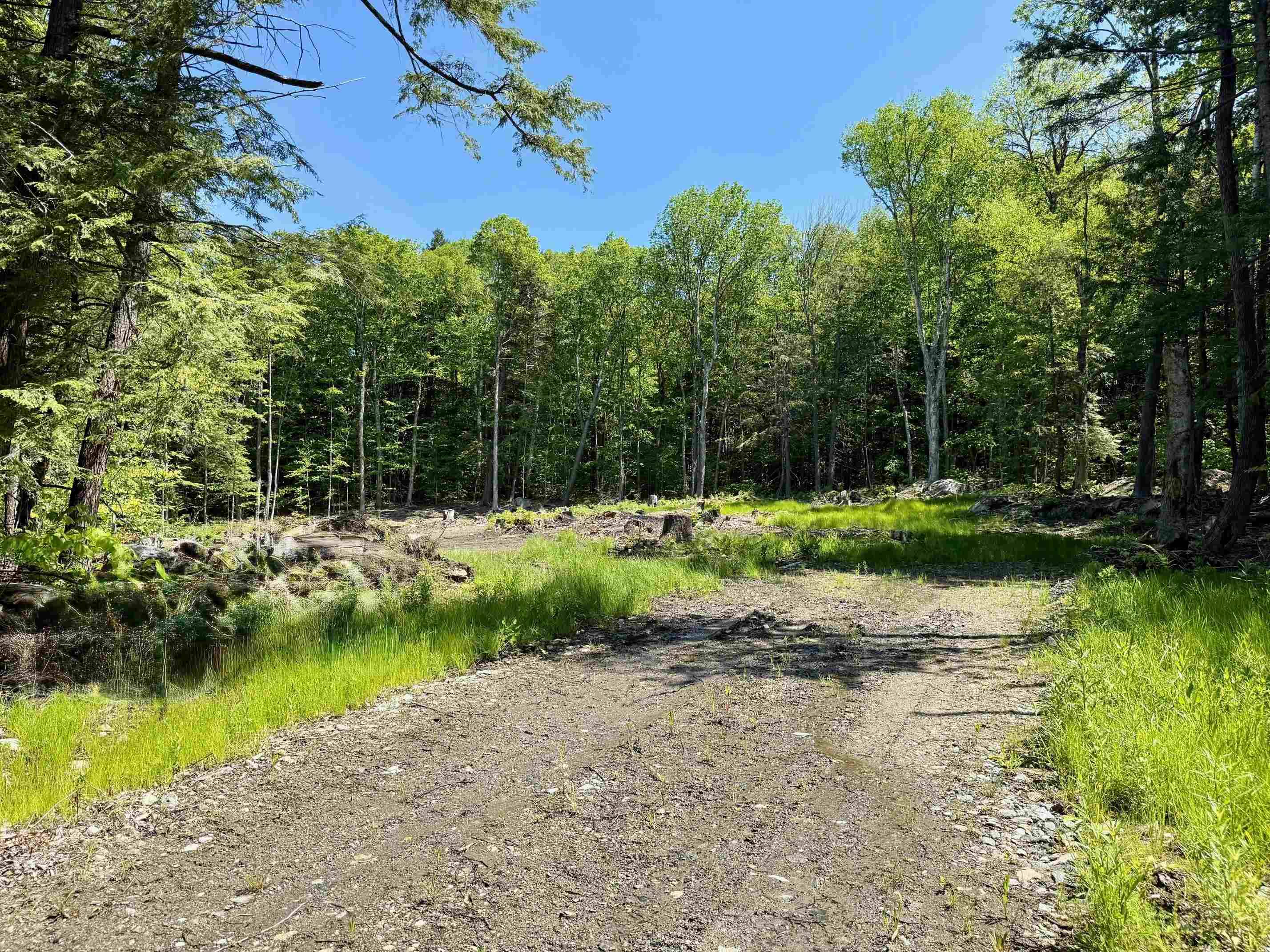 Wardsboro, VT 05360,585 Sawmill RD