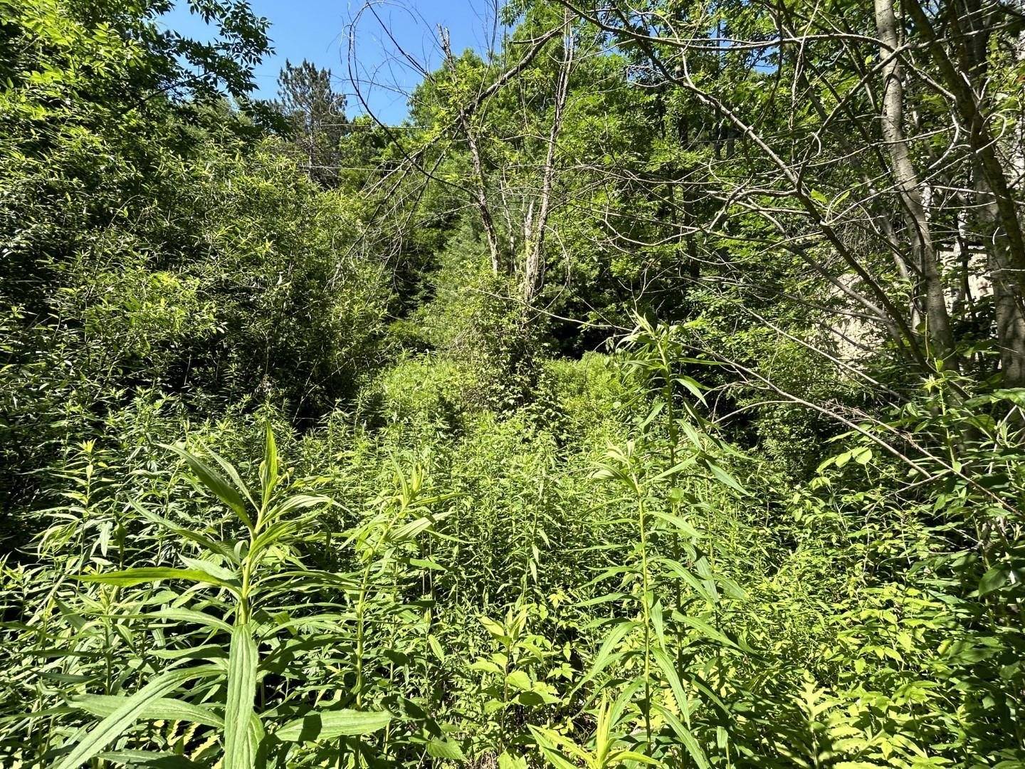 Hinesburg, VT 05461,2871 Texas Hill RD