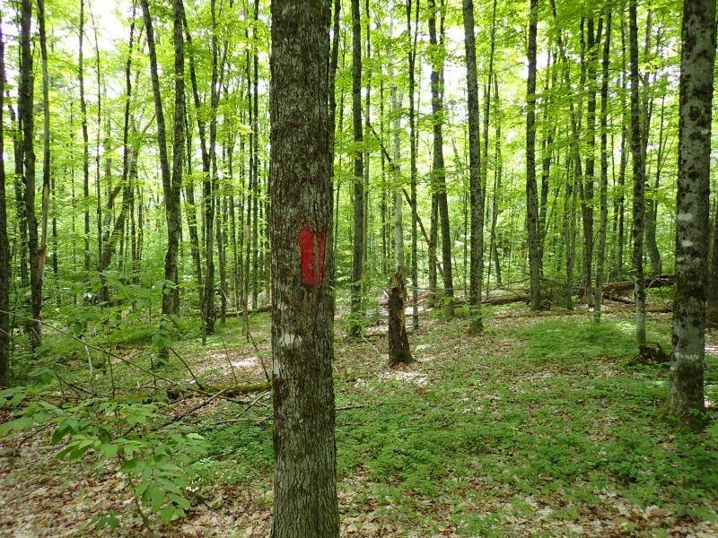 Topsham, VT 05076,0 Powder Spring RD