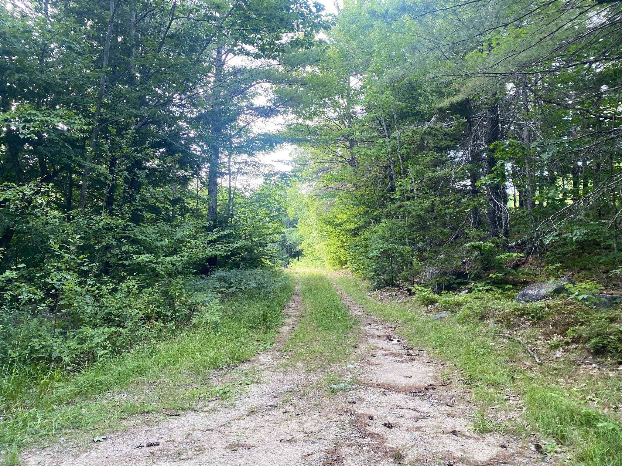 Eaton, NH 03832,Willis Bean RD #2,4,6