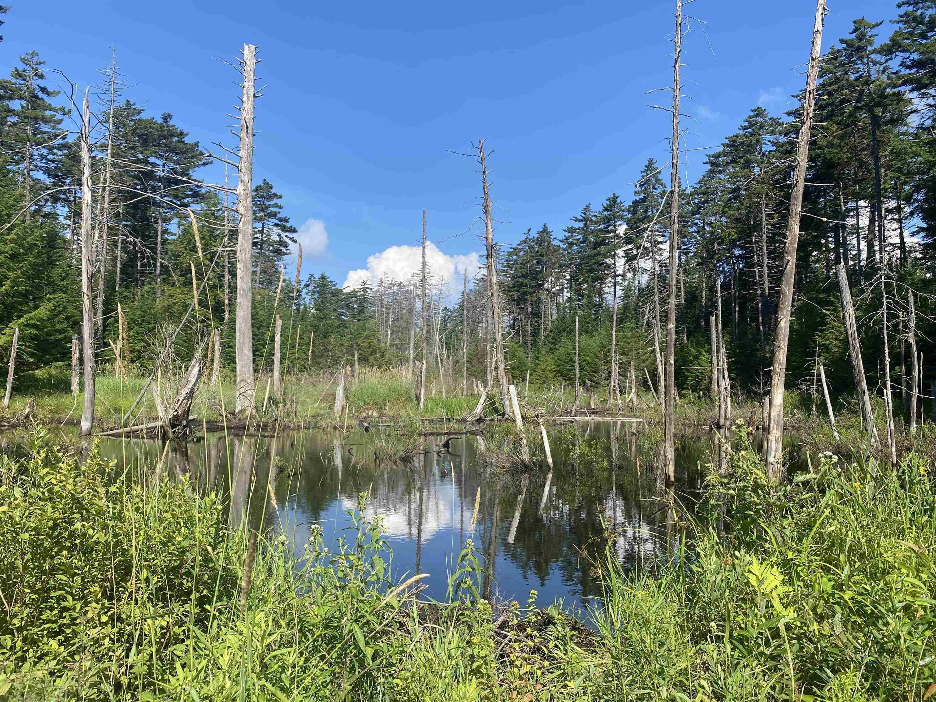 Newbury, VT 05058,0 Urquhart RD