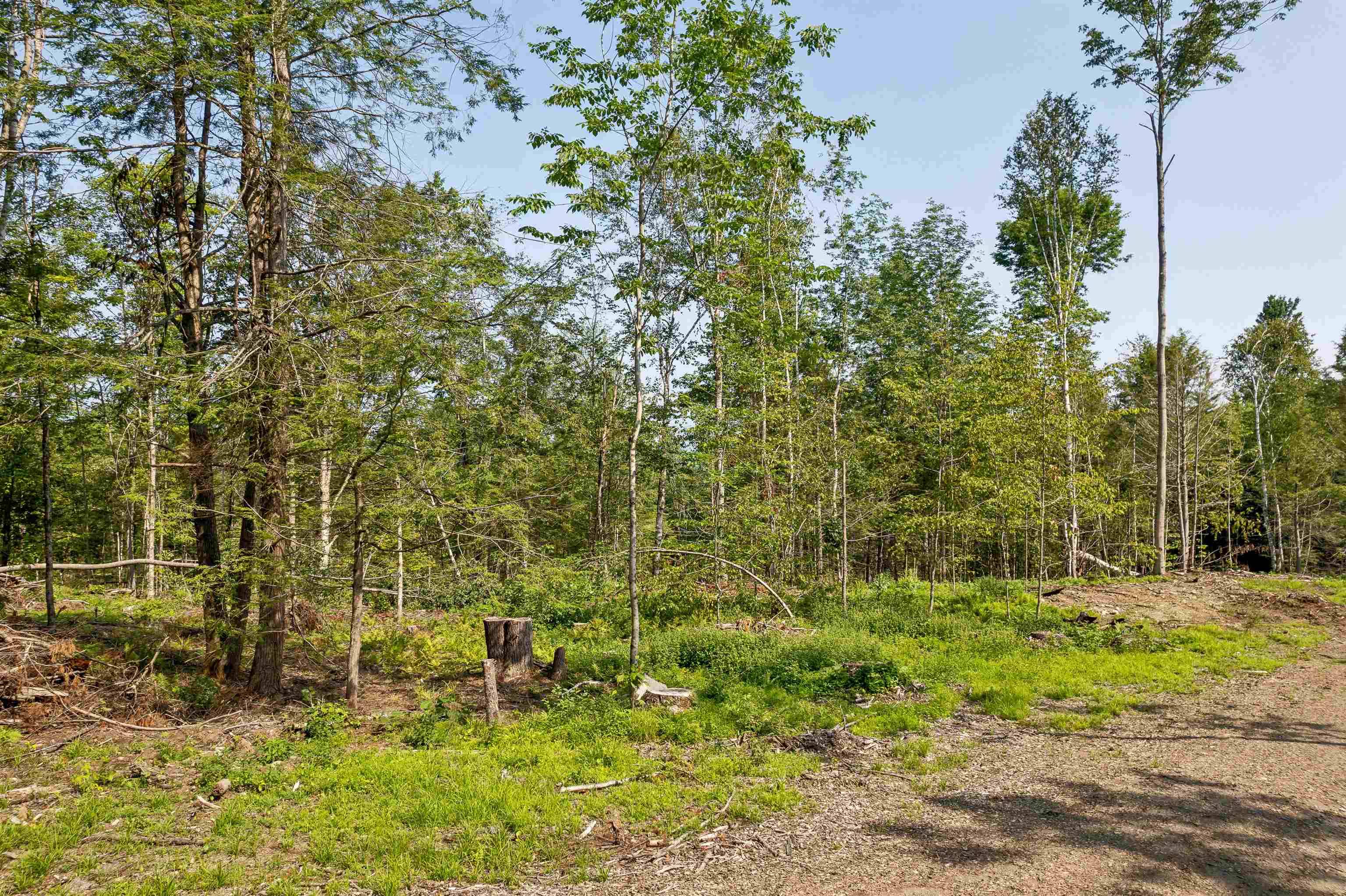 00 Court ST #1, Haverhill, NH 03765