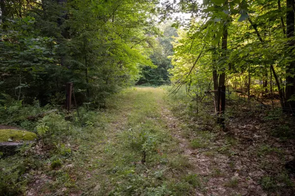 Tuftonboro, NH 03816,North Line RD