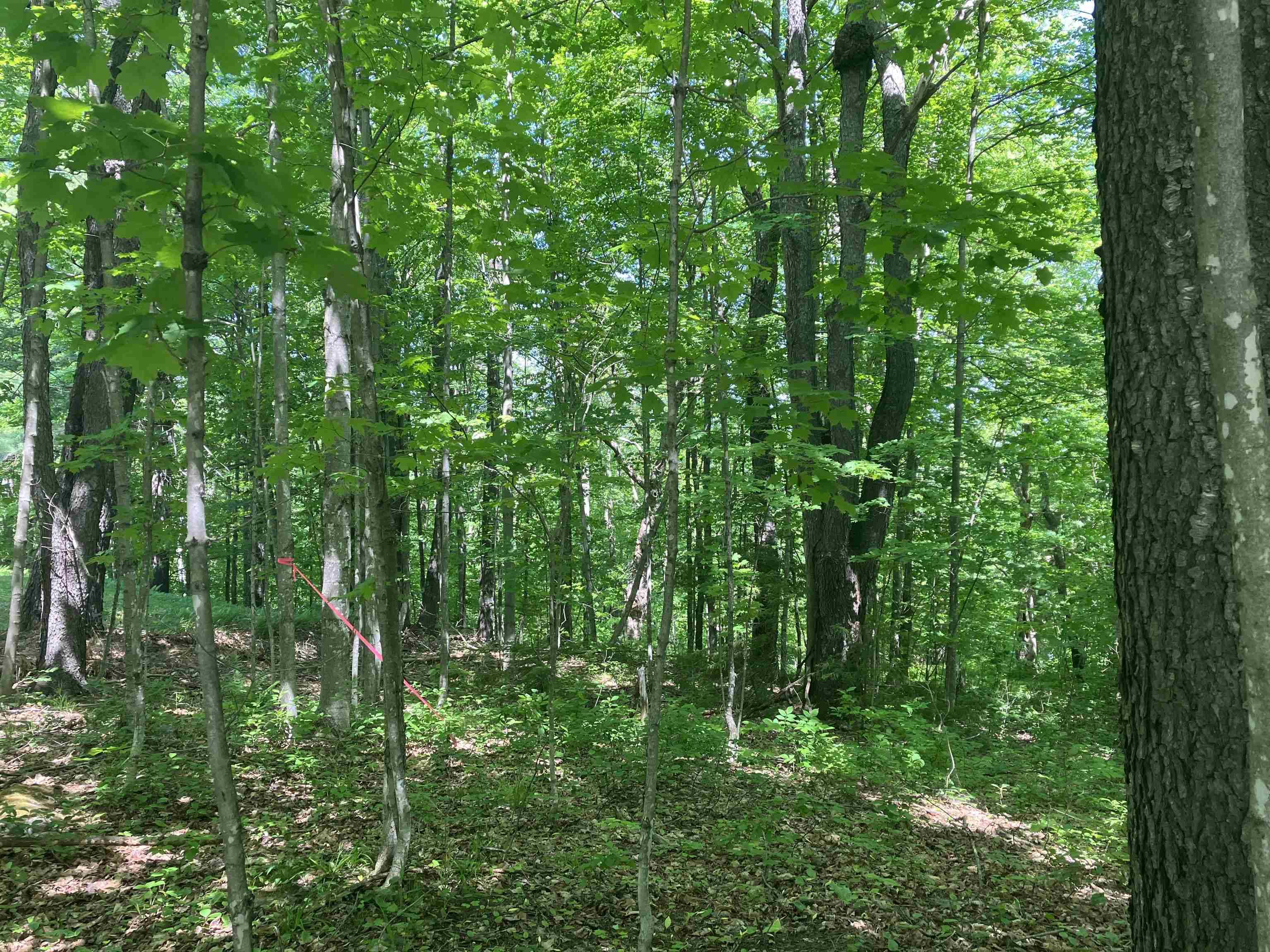 25 Upper Howes WAY #A-25, Wilmington, VT 05363