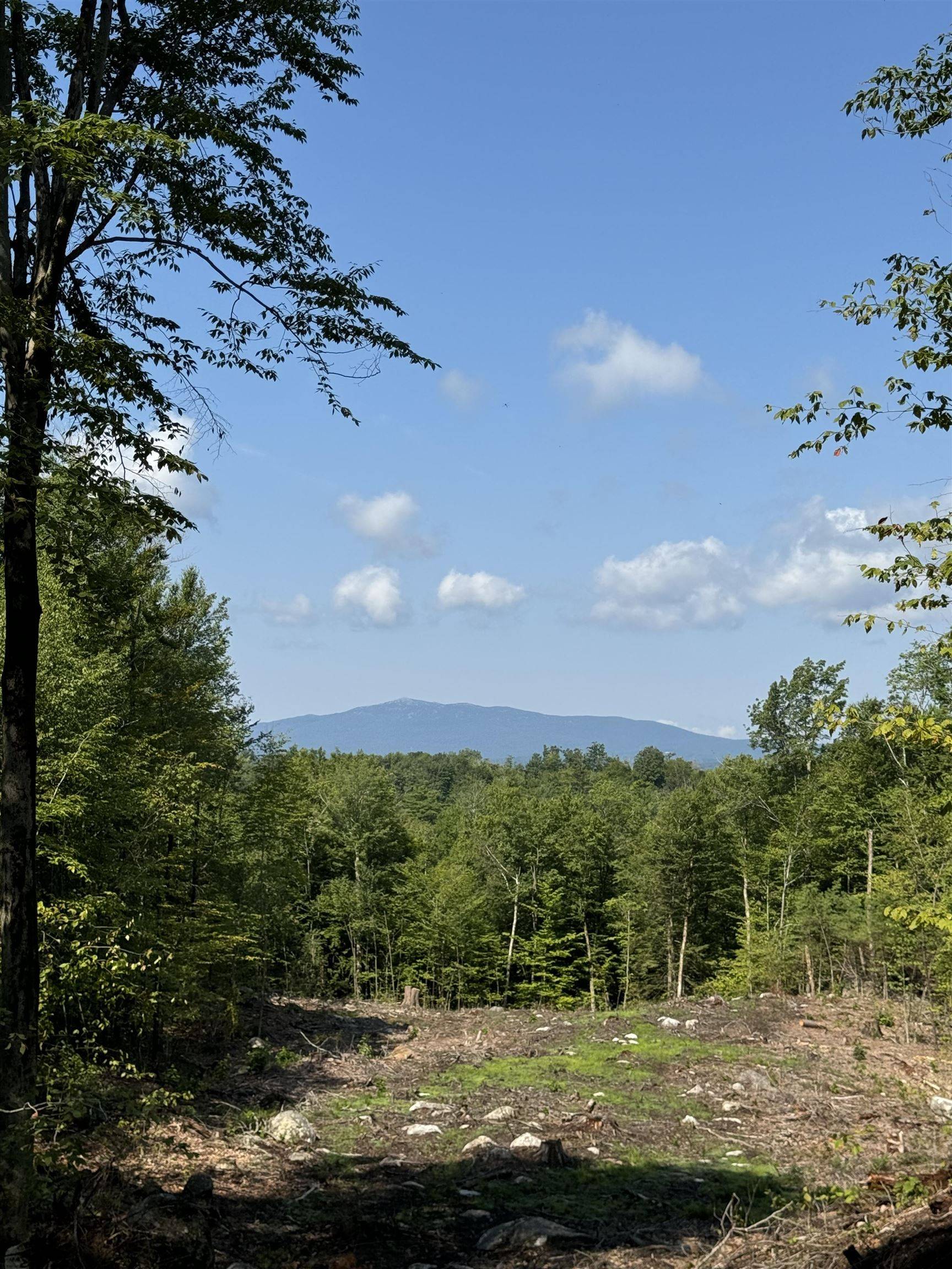 Peterborough, NH 03458,61 Outlook DR