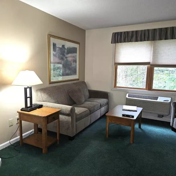 Woodstock, NH 03262,160 Deer Park DR #144C