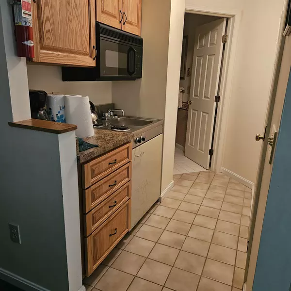 Woodstock, NH 03262,160 Deer Park DR #144C