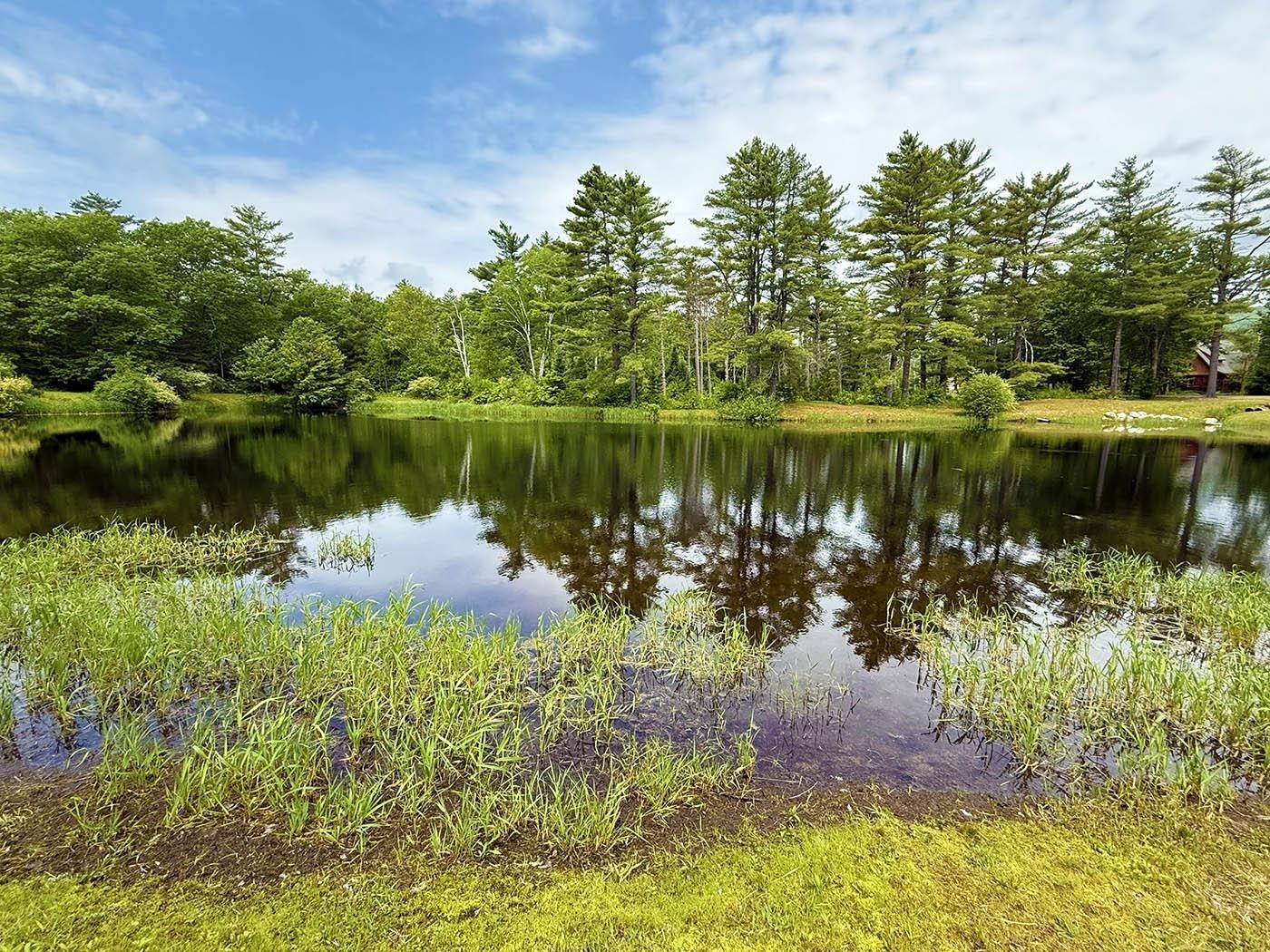 Tuftonboro, NH 03816,41 Winchester LN