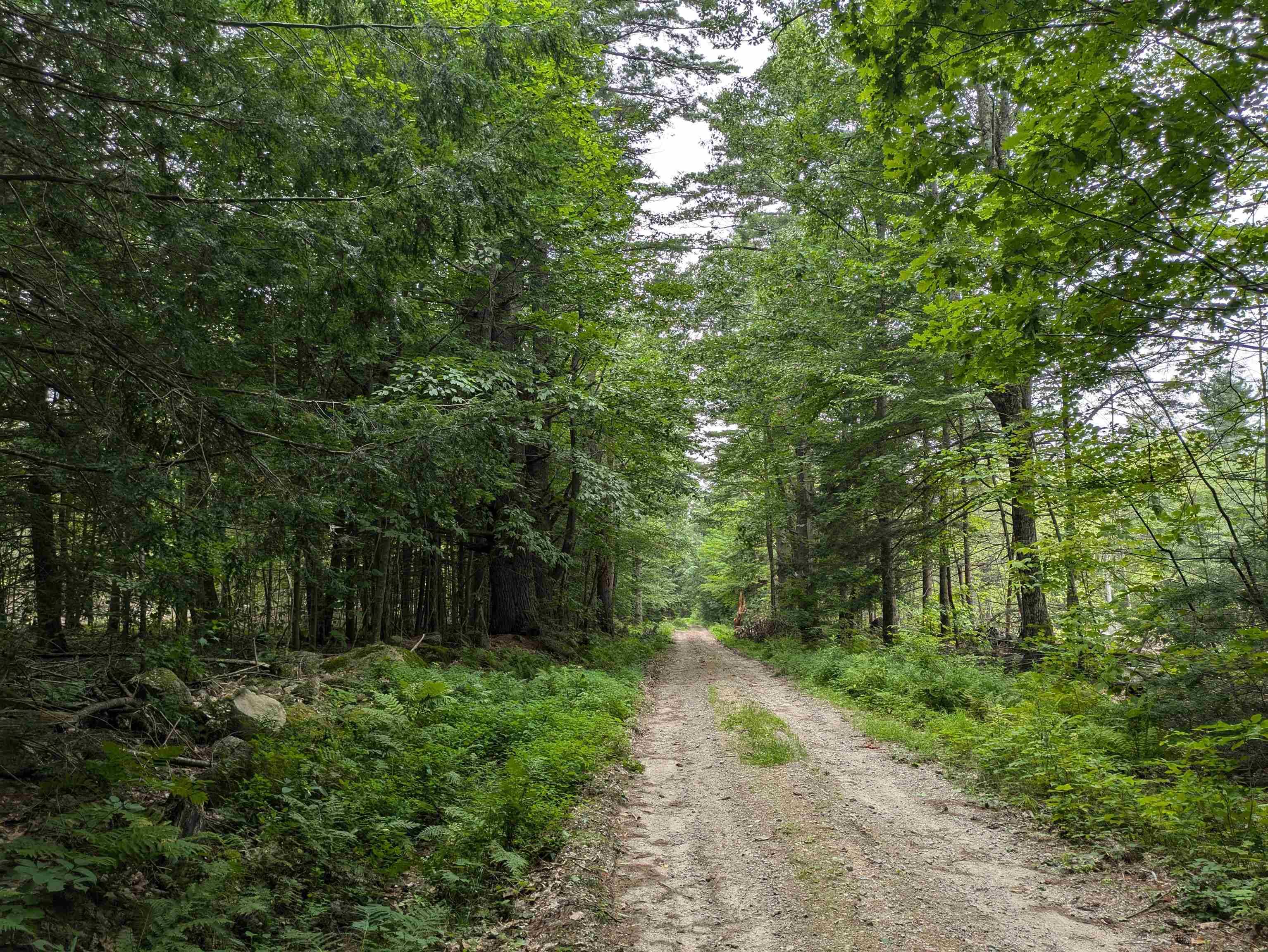 Sutton, NH 03221,Lot Eaton Grange RD