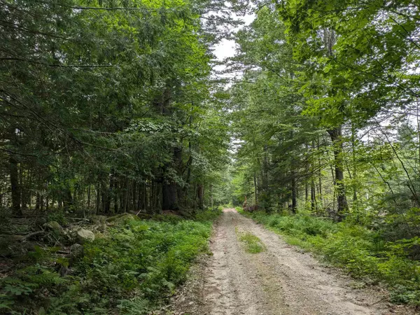 Sutton, NH 03221,Lot Eaton Grange RD