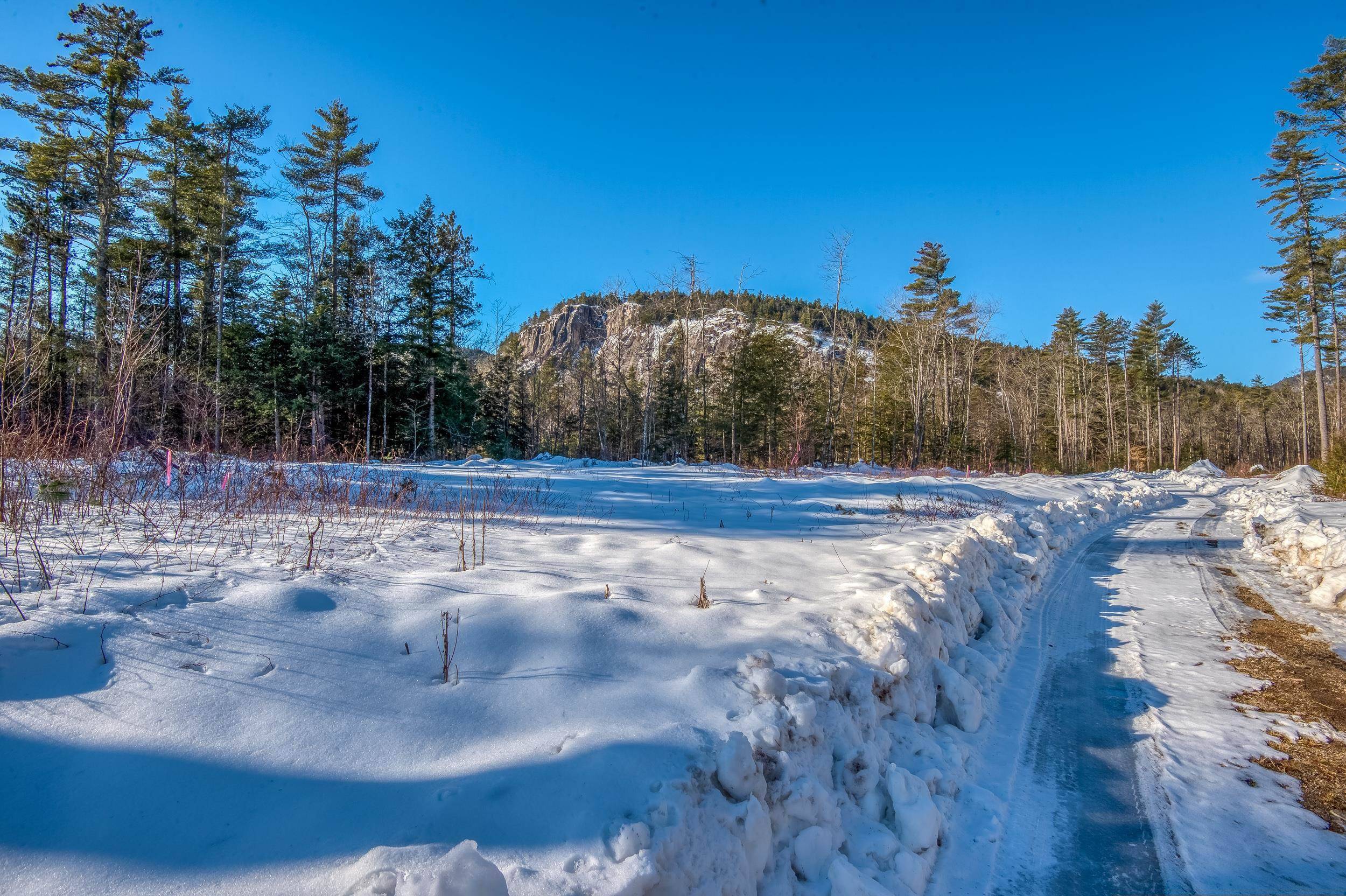 Conway, NH 03860,2 Lucy Brook RD