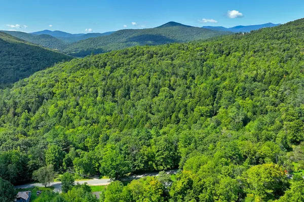 Bridgewater, VT 05034,Goldcoast RD