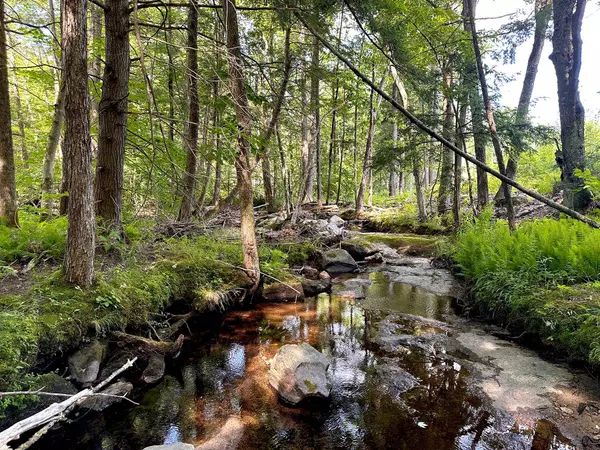 Warner, NH 03278,TM12 L21 Newmarket RD