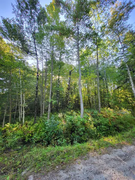 00 Swazey LN, Bethlehem, NH 03574
