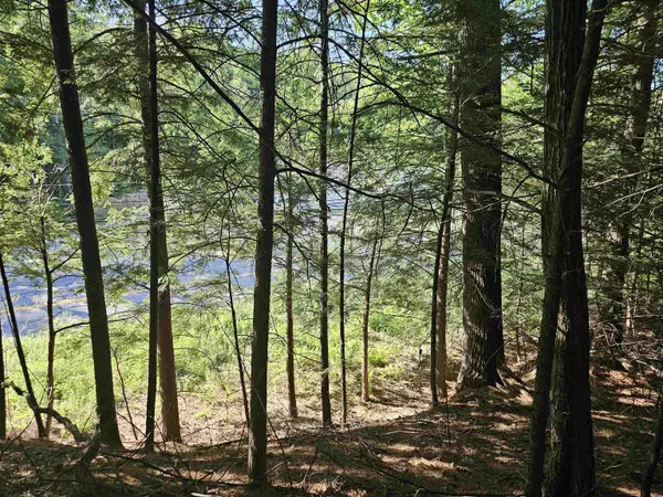 Gilford, NH 03249,119 Cherry Valley RD