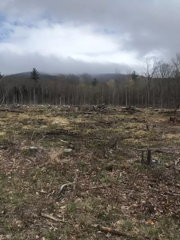 Moultonborough, NH 03854,525 Governor Wentworth HWY