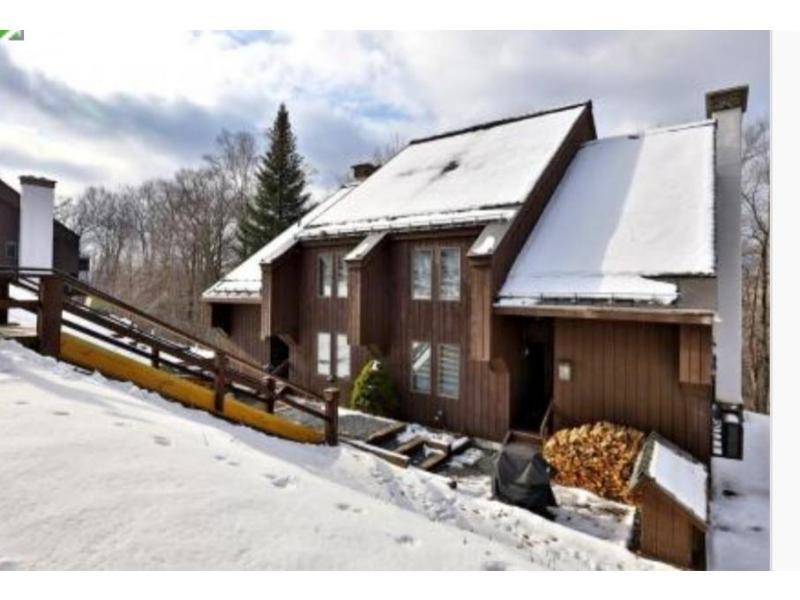 107 Blueberry Ledge RDG #45, Plymouth, VT 05056