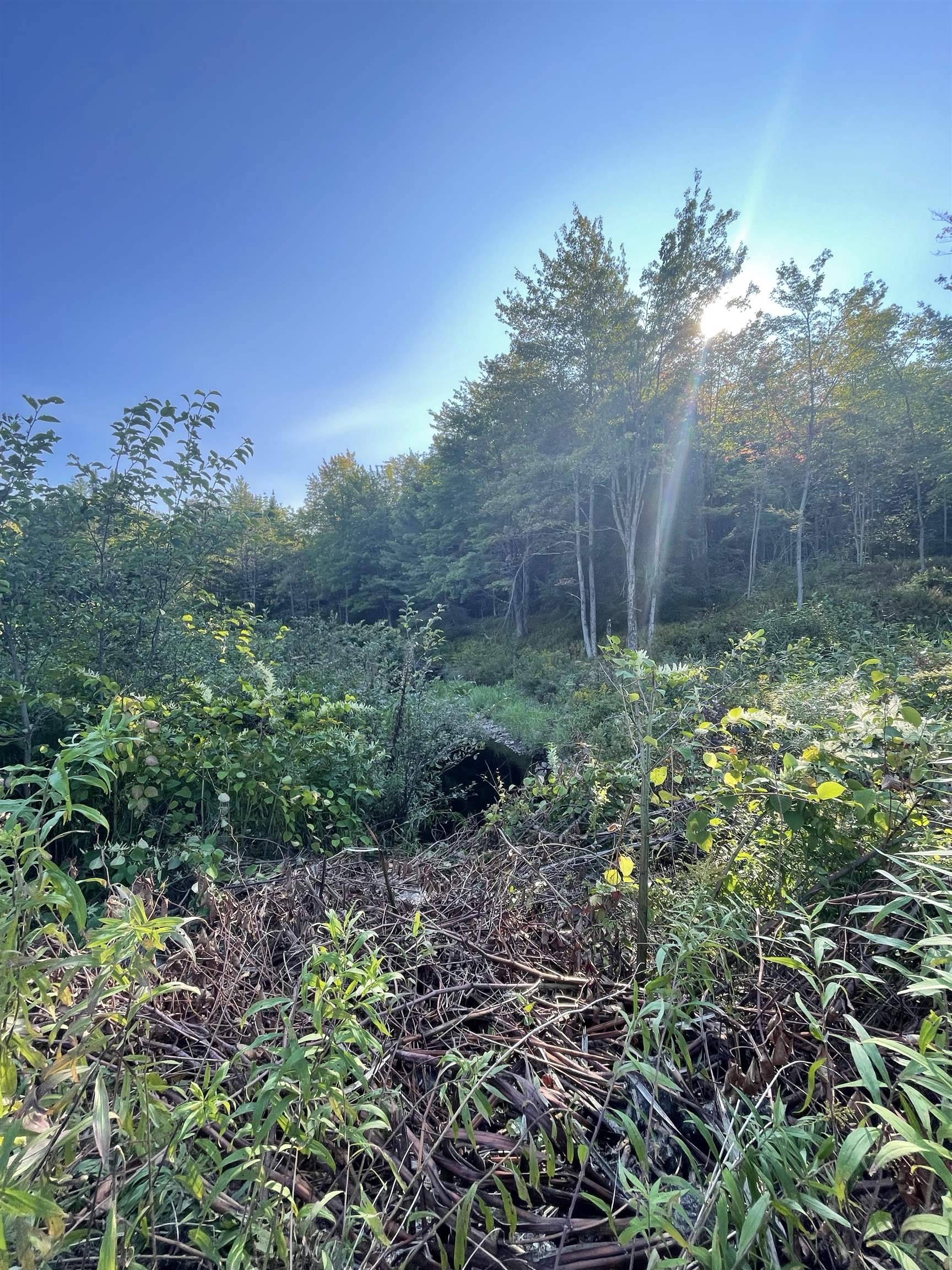 Worcester, VT 05682,222 Eagle Ledge RD