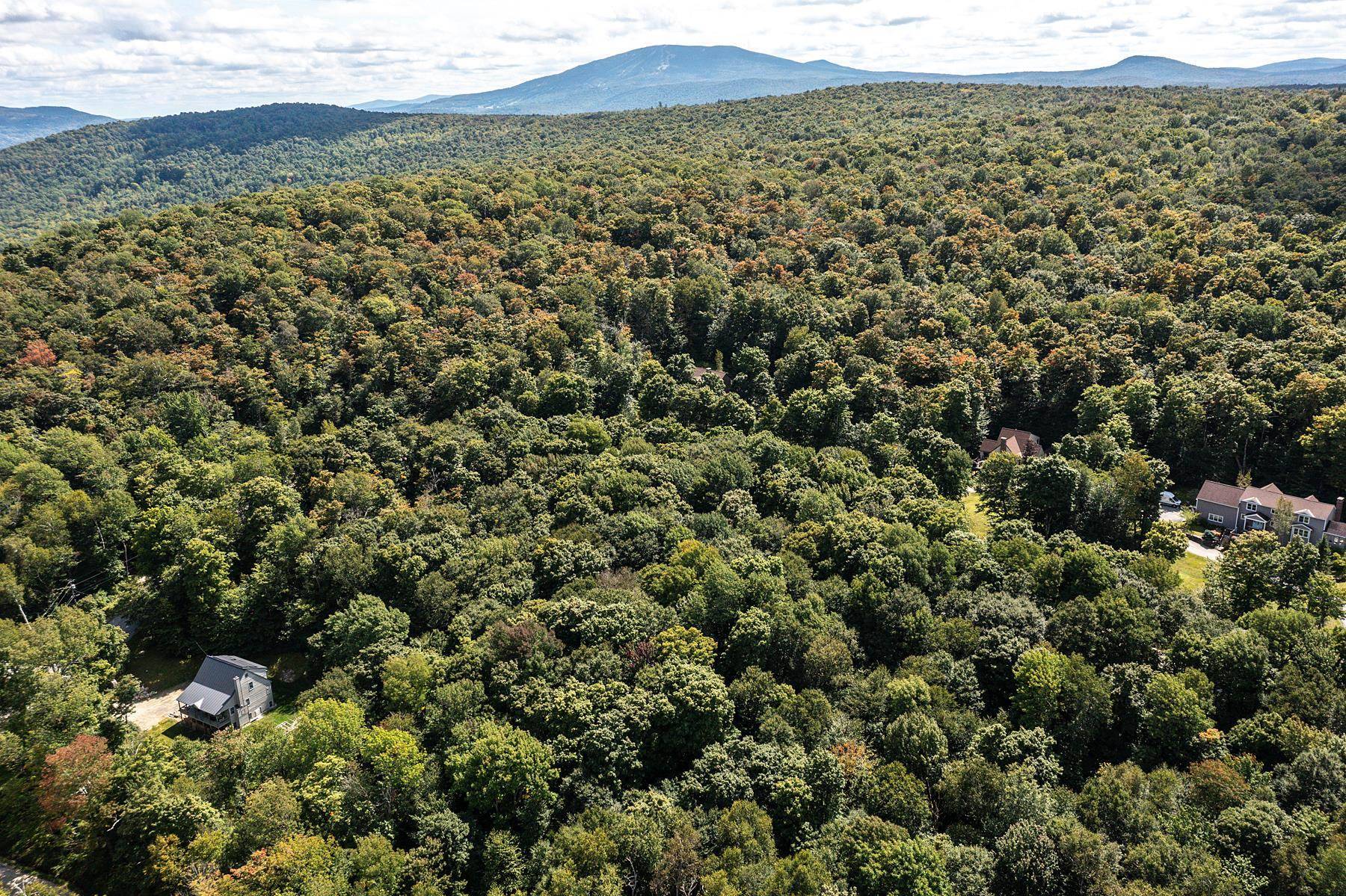 Winhall, VT 05340,Lot 44 Moose Hollow RD #44