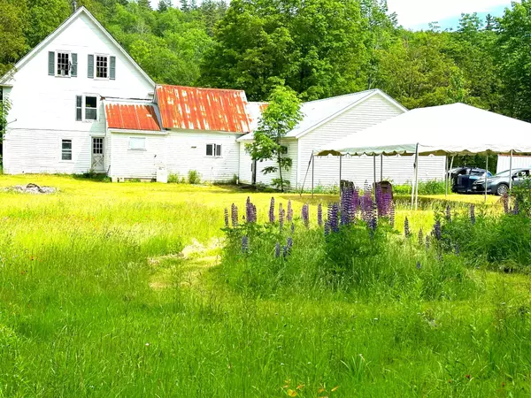 Wardsboro, VT 05360,20 Newell HL