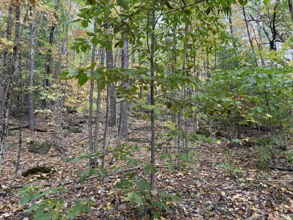 Webster, NH 03303,Lot 156 New Hampshire DR #156