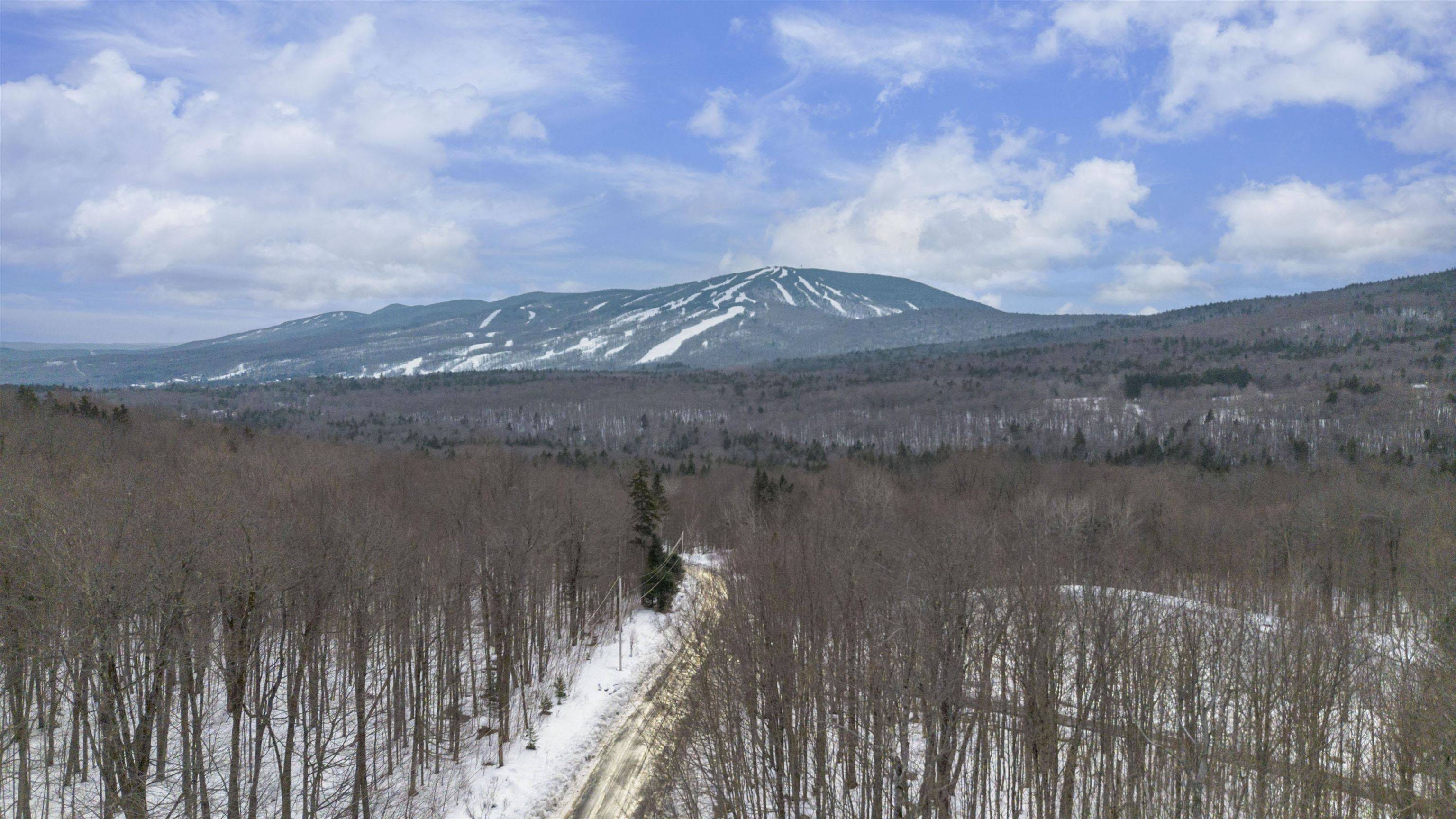 Stratton, VT 05360,60 Forest Heights RD