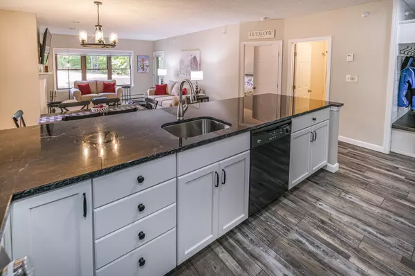 Ludlow, VT 05149,42 Harrison LN #M101