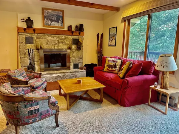 Winhall, VT 05340,8 Strattonwald RD