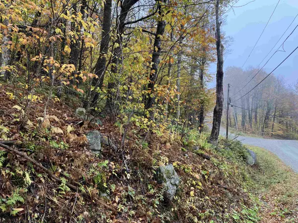 564 Upper Dam RD #M564 & M565, Wilmington, VT 05363-0253