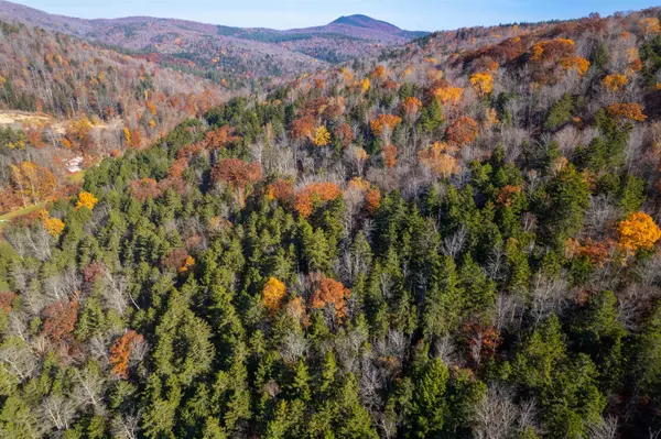 Plymouth, VT 05056,00 Route 100A