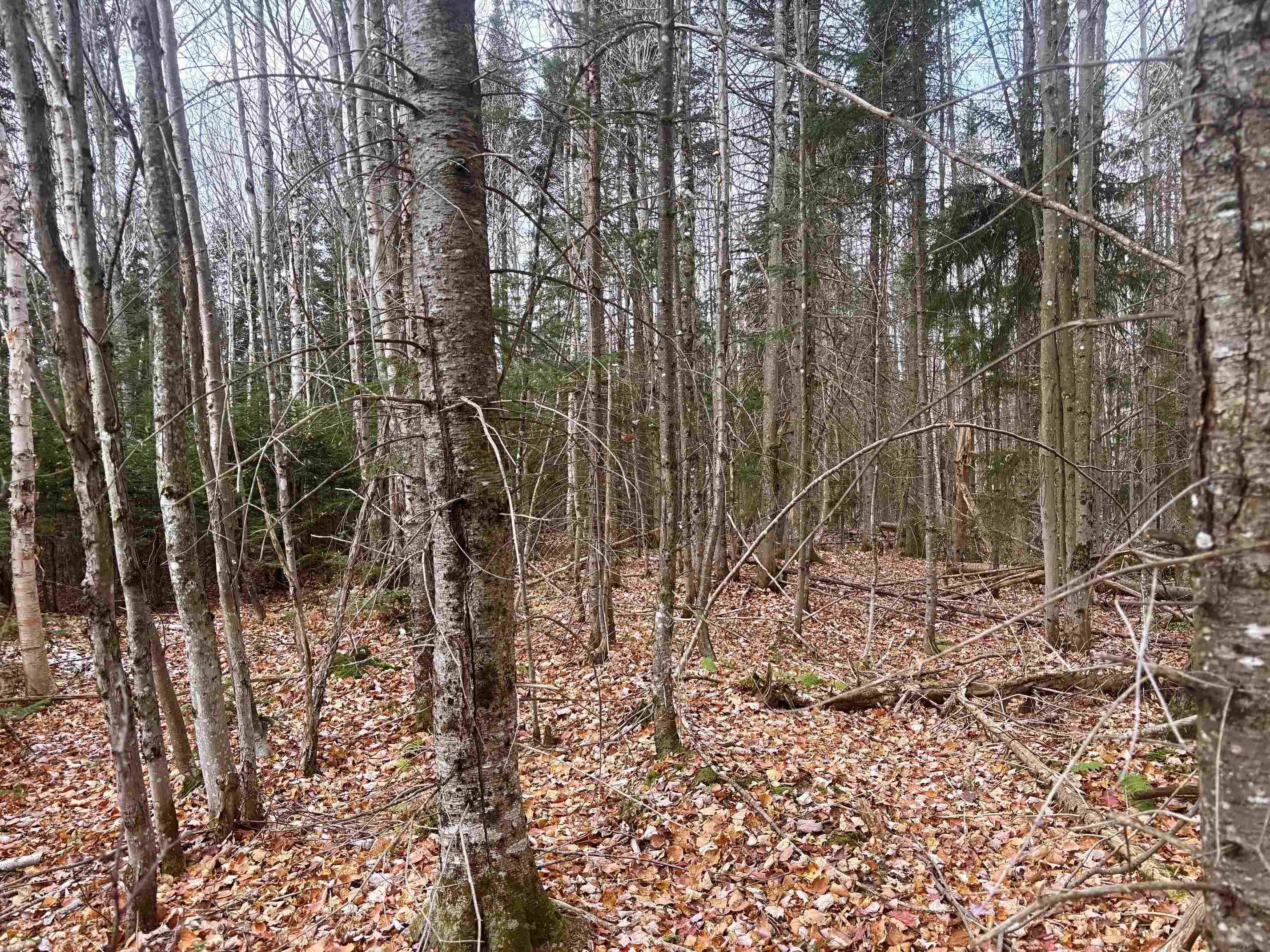 Averill, VT 05903,Lot 2 Canaan Hill RD