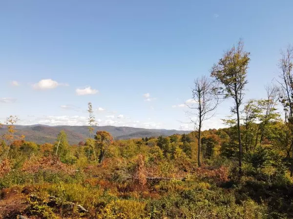 Jamaica, VT 05343,West Hill RD