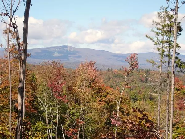 Jamaica, VT 05343,West Hill RD